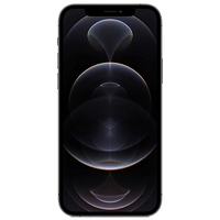 APPLE iPhone 12 Pro